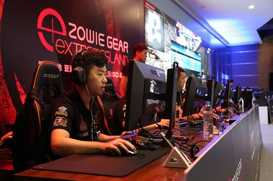 应声入网 应声入网