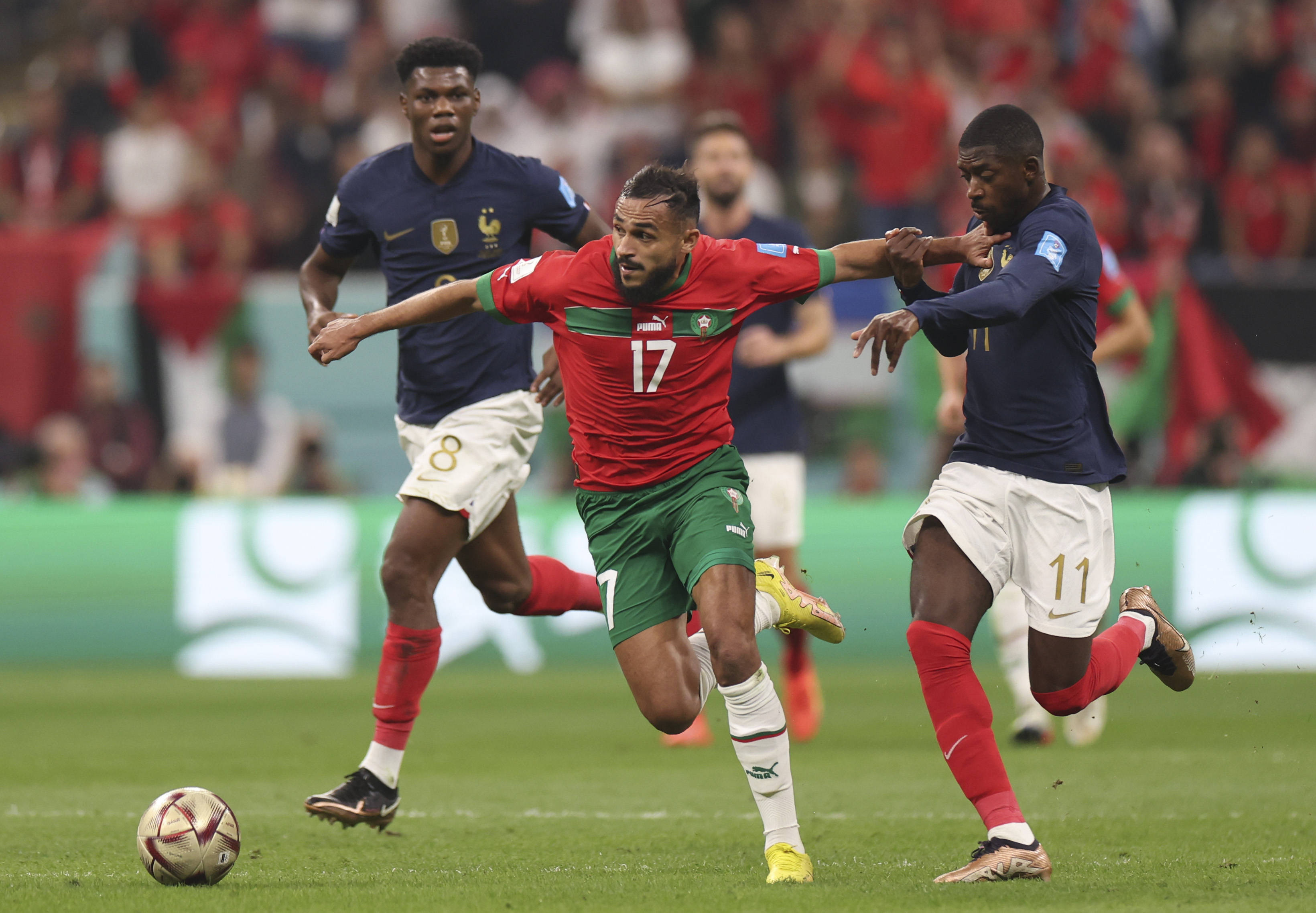 岸可能选择 岸可能选择